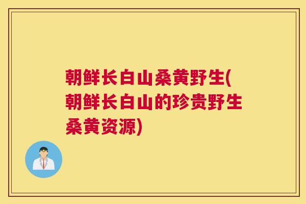 朝鲜长白山桑黄野生(朝鲜长白山的珍贵野生桑黄资源) 朝鲜长白山桑黄野生(朝鲜长白山的珍贵野生桑黄资源)