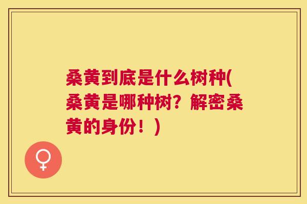 桑黄到底是什么树种(桑黄是哪种树?解密桑黄的身份!) 桑黄到底是什么树种(桑黄是哪种树?解密桑黄的身份!)