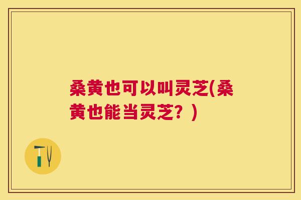 桑黄也可以叫灵芝(桑黄也能当灵芝?) 桑黄也可以叫灵芝(桑黄也能当灵芝?)