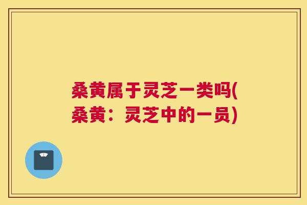 桑黄属于灵芝一类吗(桑黄:灵芝中的一员) 桑黄属于灵芝一类吗(桑黄:灵芝中的一员)
