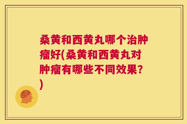 桑黄和西黄丸哪个好(桑黄和西黄丸对有哪些不同效果?) 桑黄和西黄丸哪个好(桑黄和西黄丸对有哪些不同效果?)