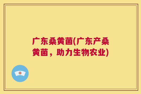 广东桑黄菌(广东产桑黄菌,助力生物农业) 广东桑黄菌(广东产桑黄菌,助力生物农业)
