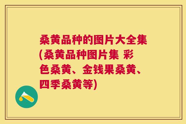 桑黄品种的图片大全集(桑黄品种图片集 彩色桑黄、金钱果桑黄、四季桑黄等) 桑黄品种的图片大全集(桑黄品种图片集 彩色桑黄、金钱果桑黄、四季桑黄等)