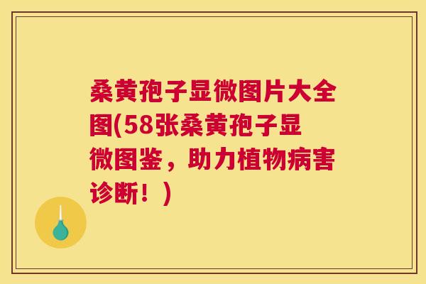 桑黄孢子显微图片大全图(58张桑黄孢子显微图鉴,助力植物害诊断!) 桑黄孢子显微图片大全图(58张桑黄孢子显微图鉴,助力植物害诊断!)