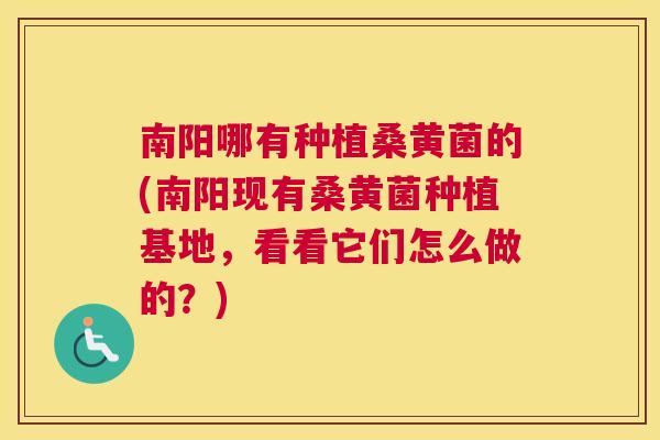 南阳哪有种植桑黄菌的(南阳现有桑黄菌种植基地,看看它们怎么做的?) 南阳哪有种植桑黄菌的(南阳现有桑黄菌种植基地,看看它们怎么做的?)