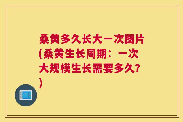 桑黄多久长大一次图片(桑黄生长周期:一次大规模生长需要多久?) 桑黄多久长大一次图片(桑黄生长周期:一次大规模生长需要多久?)