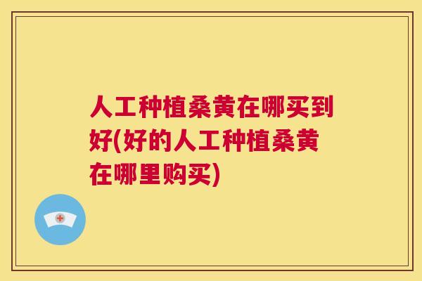 人工种植桑黄在哪买到好(好的人工种植桑黄在哪里购买) 人工种植桑黄在哪买到好(好的人工种植桑黄在哪里购买)
