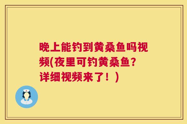晚上能钓到黄桑鱼吗视频(夜里可钓黄桑鱼？详细视频来了！)