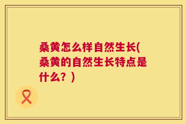 桑黄怎么样自然生长(桑黄的自然生长特点是什么?) 桑黄怎么样自然生长(桑黄的自然生长特点是什么?)