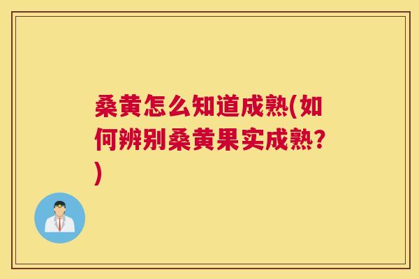 桑黄怎么知道成熟(如何辨别桑黄果实成熟?) 桑黄怎么知道成熟(如何辨别桑黄果实成熟?)