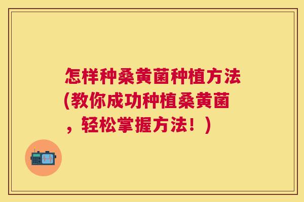 怎样种桑黄菌种植方法(教你成功种植桑黄菌，轻松掌握方法！)