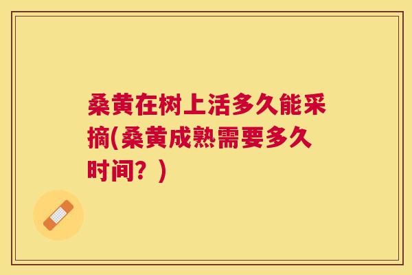 桑黄在树上活多久能采摘(桑黄成熟需要多久时间?) 桑黄在树上活多久能采摘(桑黄成熟需要多久时间?)