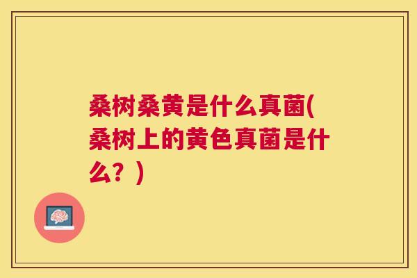 桑树桑黄是什么真菌(桑树上的黄色真菌是什么?) 桑树桑黄是什么真菌(桑树上的黄色真菌是什么?)