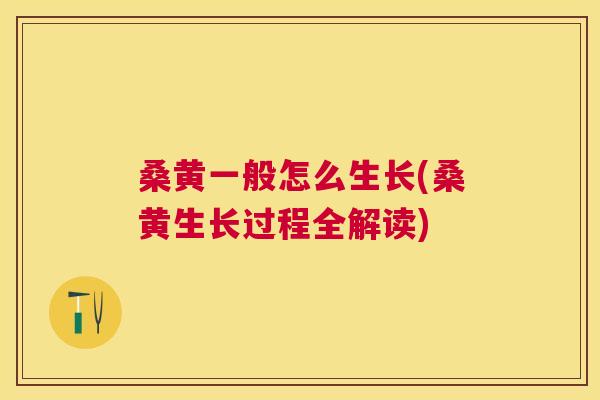 桑黄一般怎么生长(桑黄生长过程全解读) 桑黄一般怎么生长(桑黄生长过程全解读)