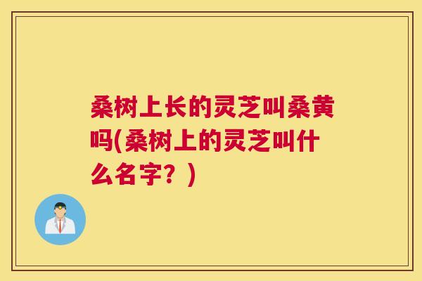 桑树上长的灵芝叫桑黄吗(桑树上的灵芝叫什么名字?) 桑树上长的灵芝叫桑黄吗(桑树上的灵芝叫什么名字?)