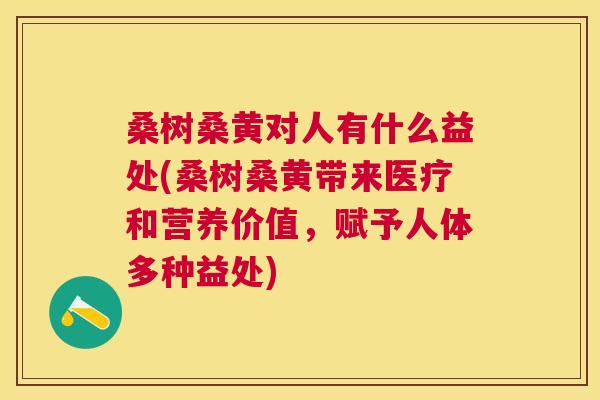 桑树桑黄对人有什么益处(桑树桑黄带来医疗和营养价值,赋予人体多种益处) 桑树桑黄对人有什么益处(桑树桑黄带来医疗和营养价值,赋予人体多种益处)