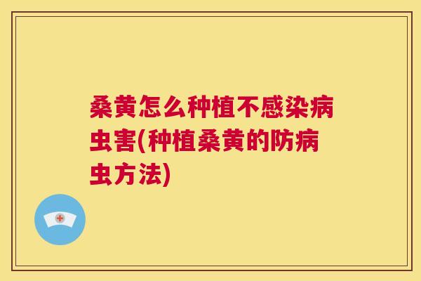 桑黄怎么种植不虫害(种植桑黄的防虫方法) 桑黄怎么种植不虫害(种植桑黄的防虫方法)