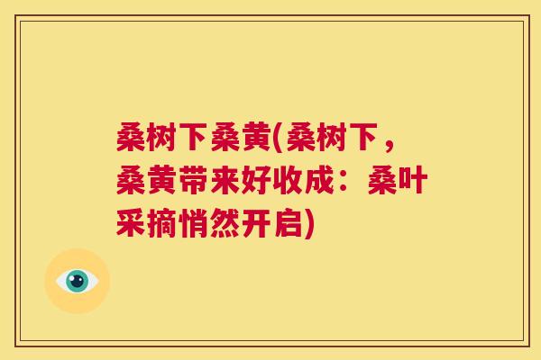 桑树下桑黄(桑树下,桑黄带来好收成:桑叶采摘悄然开启) 桑树下桑黄(桑树下,桑黄带来好收成:桑叶采摘悄然开启)