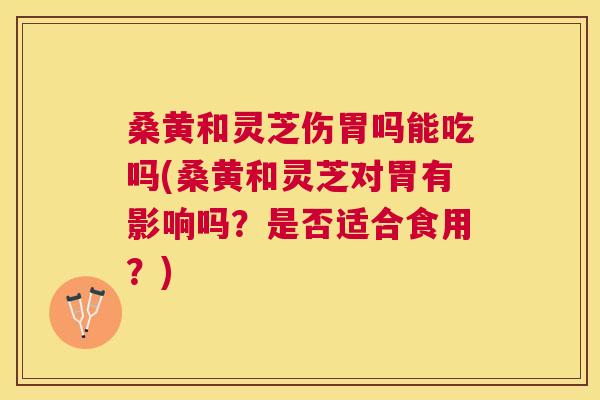 桑黄和灵芝伤胃吗能吃吗(桑黄和灵芝对胃有影响吗?是否适合食用?) 桑黄和灵芝伤胃吗能吃吗(桑黄和灵芝对胃有影响吗?是否适合食用?)