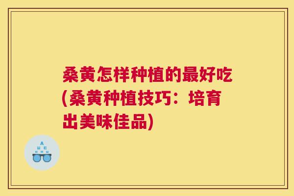 桑黄怎样种植的好吃(桑黄种植技巧:培育出美味佳品) 桑黄怎样种植的好吃(桑黄种植技巧:培育出美味佳品)