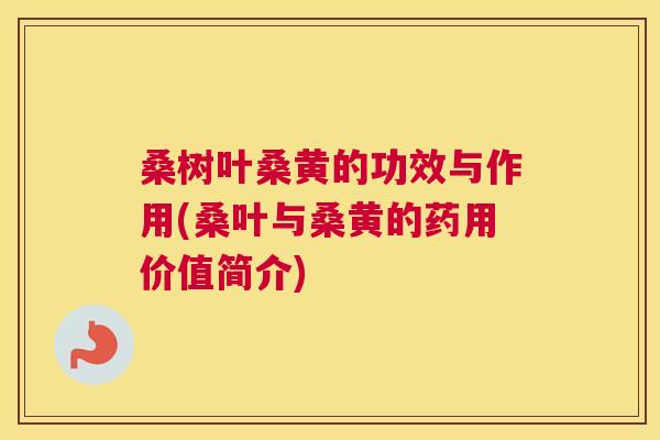 桑树叶桑黄的功效与作用(桑叶与桑黄的药用价值简介)