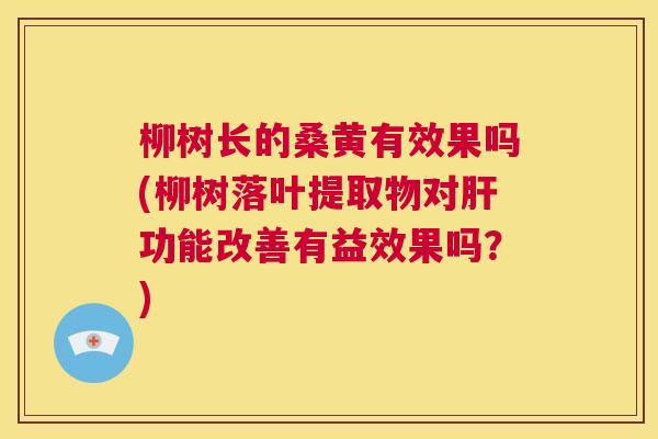 柳树长的桑黄有效果吗(柳树落叶提取物对功能改善有益效果吗?) 柳树长的桑黄有效果吗(柳树落叶提取物对功能改善有益效果吗?)