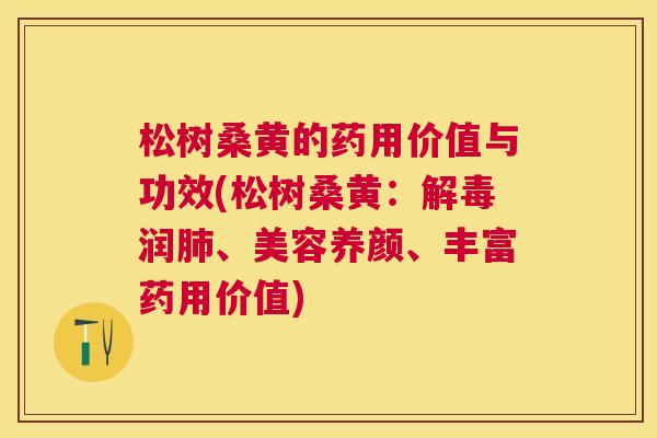 松树桑黄的药用价值与功效(松树桑黄：润、美容养颜、丰富药用价值)