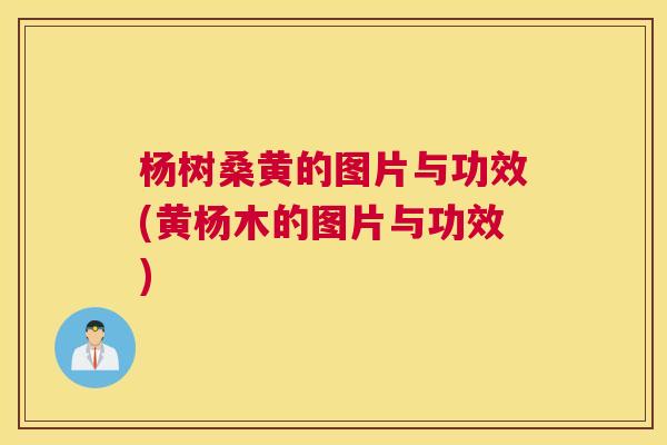 杨树桑黄的图片与功效(黄杨木的图片与功效) 杨树桑黄的图片与功效(黄杨木的图片与功效)