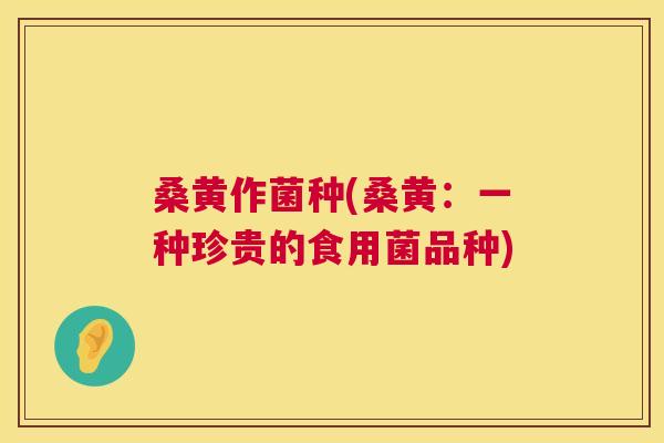 桑黄作菌种(桑黄:一种珍贵的食用菌品种) 桑黄作菌种(桑黄:一种珍贵的食用菌品种)