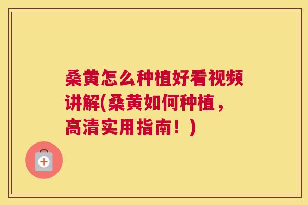 桑黄怎么种植好看视频讲解(桑黄如何种植,高清实用指南!) 桑黄怎么种植好看视频讲解(桑黄如何种植,高清实用指南!)