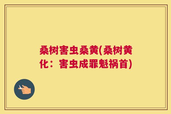 桑树害虫桑黄(桑树黄化:害虫成罪魁祸首) 桑树害虫桑黄(桑树黄化:害虫成罪魁祸首)