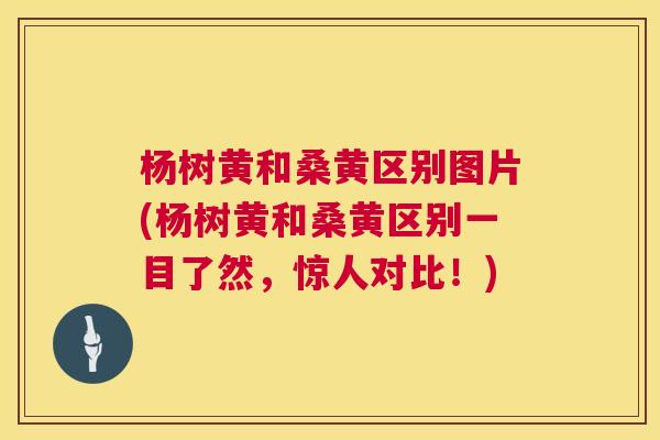 杨树黄和桑黄区别图片(杨树黄和桑黄区别一目了然,惊人对比!) 杨树黄和桑黄区别图片(杨树黄和桑黄区别一目了然,惊人对比!)