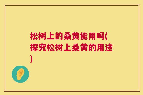 松树上的桑黄能用吗(探究松树上桑黄的用途) 松树上的桑黄能用吗(探究松树上桑黄的用途)