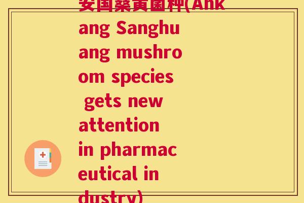 安国桑黄菌种(Ankang Sanghuang mushroom species gets new attention in pharmaceutical industry) 安国桑黄菌种(Ankang Sanghuang mushroom species gets new attention in pharmaceutical industry)