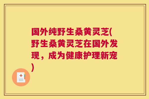 国外纯野生桑黄灵芝(野生桑黄灵芝在国外发现,成为健康护理新宠) 国外纯野生桑黄灵芝(野生桑黄灵芝在国外发现,成为健康护理新宠)