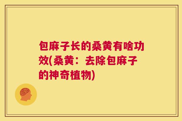 包麻子长的桑黄有啥功效(桑黄:去除包麻子的神奇植物) 包麻子长的桑黄有啥功效(桑黄:去除包麻子的神奇植物)