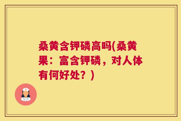 桑黄含钾磷高吗(桑黄果:富含钾磷,对人体有何好处?) 桑黄含钾磷高吗(桑黄果:富含钾磷,对人体有何好处?)