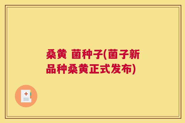 桑黄 菌种子(菌子新品种桑黄正式发布) 桑黄 菌种子(菌子新品种桑黄正式发布)