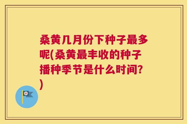 桑黄几月份下种子多呢(桑黄丰收的种子播种季节是什么时间?) 桑黄几月份下种子多呢(桑黄丰收的种子播种季节是什么时间?)