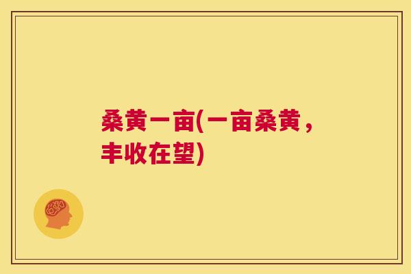 桑黄一亩(一亩桑黄,丰收在望) 桑黄一亩(一亩桑黄,丰收在望)