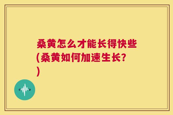 桑黄怎么才能长得快些(桑黄如何加速生长?) 桑黄怎么才能长得快些(桑黄如何加速生长?)
