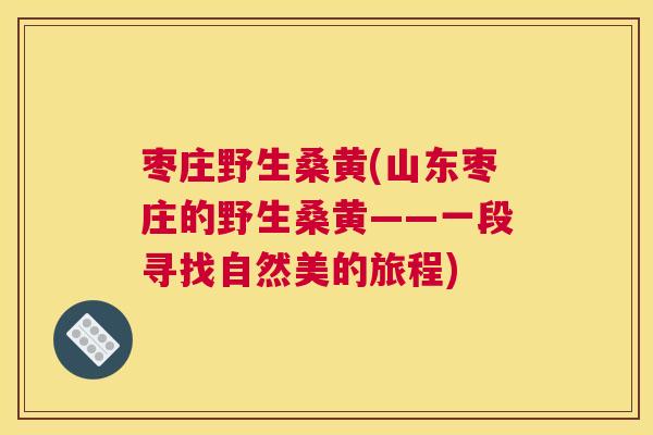 枣庄野生桑黄(山东枣庄的野生桑黄——一段寻找自然美的旅程) 枣庄野生桑黄(山东枣庄的野生桑黄——一段寻找自然美的旅程)