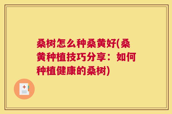 桑树怎么种桑黄好(桑黄种植技巧分享:如何种植健康的桑树) 桑树怎么种桑黄好(桑黄种植技巧分享:如何种植健康的桑树)