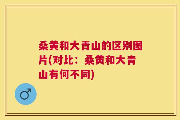 桑黄和大青山的区别图片(对比:桑黄和大青山有何不同) 桑黄和大青山的区别图片(对比:桑黄和大青山有何不同)