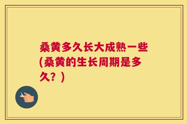 桑黄多久长大成熟一些(桑黄的生长周期是多久?) 桑黄多久长大成熟一些(桑黄的生长周期是多久?)