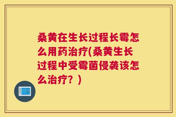 桑黄在生长过程长霉怎么用药(桑黄生长过程中受霉菌侵袭该怎么?) 桑黄在生长过程长霉怎么用药(桑黄生长过程中受霉菌侵袭该怎么?)