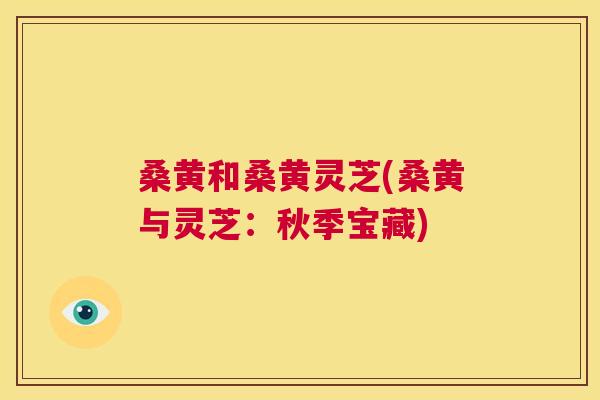 桑黄和桑黄灵芝(桑黄与灵芝:秋季宝藏) 桑黄和桑黄灵芝(桑黄与灵芝:秋季宝藏)