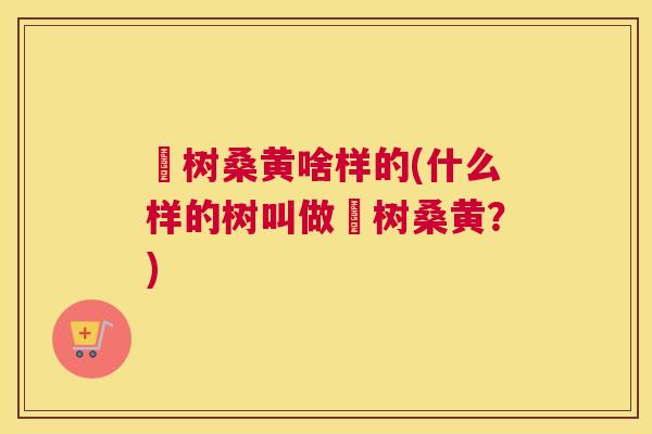 杹树桑黄啥样的(什么样的树叫做杹树桑黄?) 杹树桑黄啥样的(什么样的树叫做杹树桑黄?)
