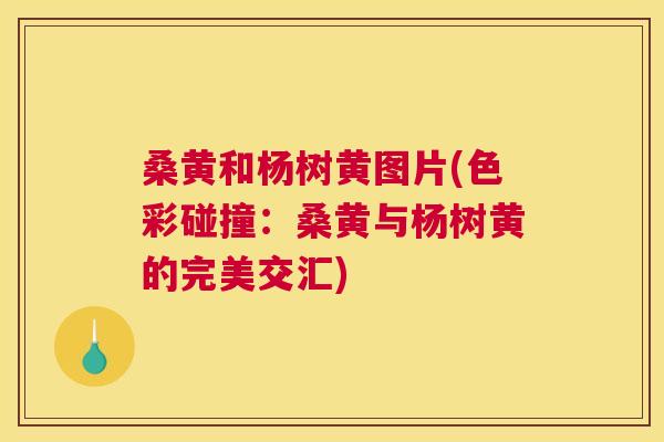 桑黄和杨树黄图片(色彩碰撞:桑黄与杨树黄的完美交汇) 桑黄和杨树黄图片(色彩碰撞:桑黄与杨树黄的完美交汇)