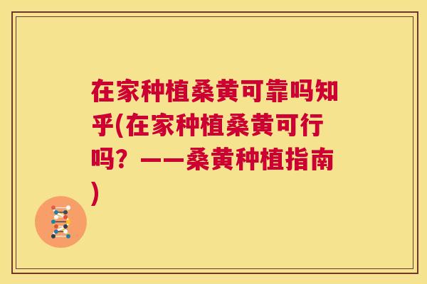 在家种植桑黄可靠吗知乎(在家种植桑黄可行吗?——桑黄种植指南) 在家种植桑黄可靠吗知乎(在家种植桑黄可行吗?——桑黄种植指南)